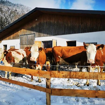 Biobauernhof Und Ferienhaus Riederbauer Rettenschöss Buitenkant foto