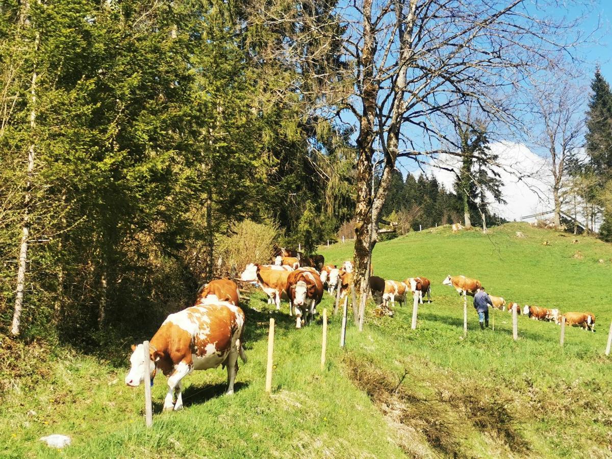 Biobauernhof Und Ferienhaus Riederbauer Rettenschöss Buitenkant foto