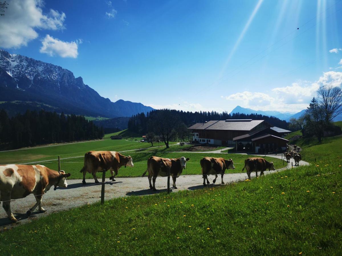 Biobauernhof Und Ferienhaus Riederbauer Rettenschöss Buitenkant foto