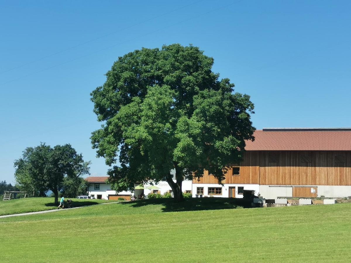 Biobauernhof Und Ferienhaus Riederbauer Rettenschöss Buitenkant foto